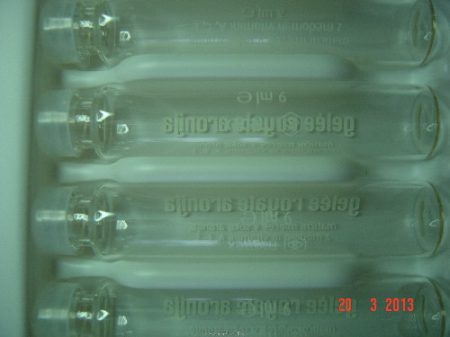 DSC04100.JPG