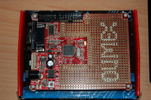 DSC_5401_resize.JPG