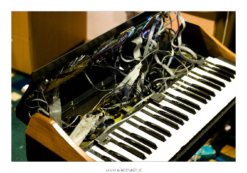 DSC_8661_resize.jpg