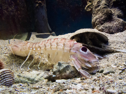 DSCF8575.jpg