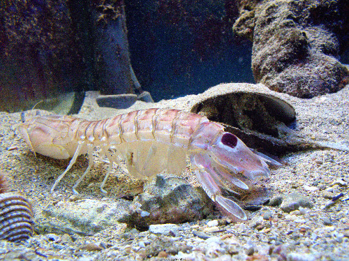DSCF8576.jpg