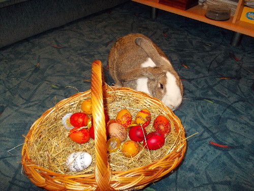DSCN0146.JPG