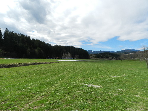 DSCN0328.JPG