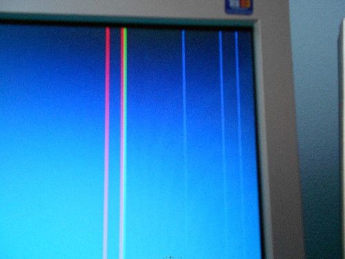 DSCN0529.JPG