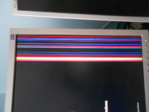DSCN0531.JPG