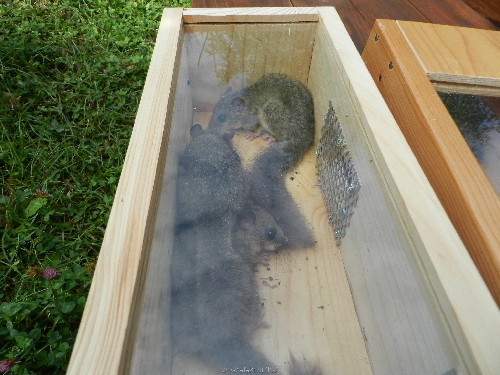 DSCN1274.JPG