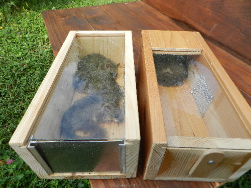 DSCN1279.JPG