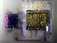 DSCN2598a.jpg