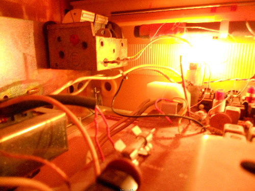 DSCN7549.JPG