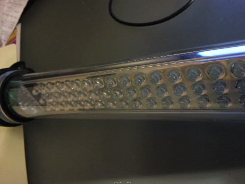 Foto.2764.jpg
