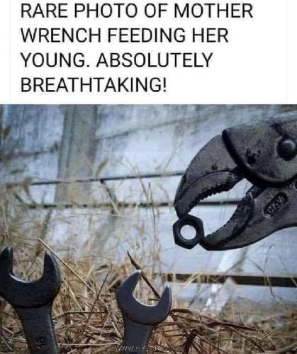 GACSHbDXcAEoJPx.jpg