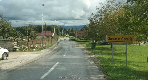 gomila.JPG