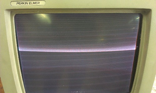 IMAG0593.jpg