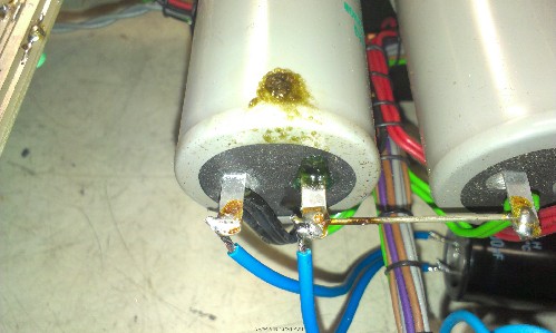 IMAG0769.jpg