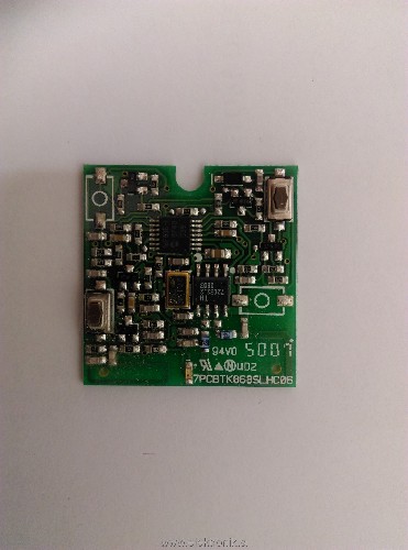 IMAG1270 (Large).jpg