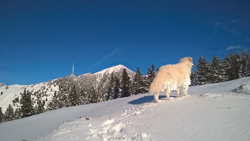 image002.jpg