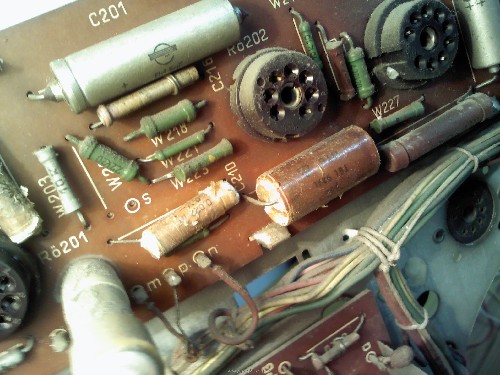 IMG2250.jpg