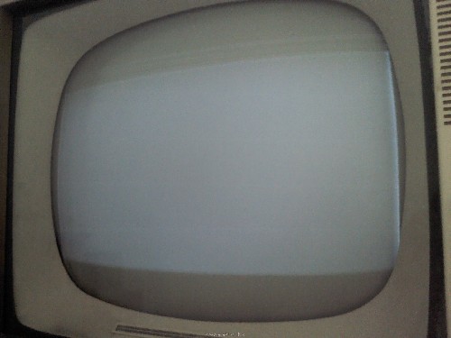 IMG2260.jpg