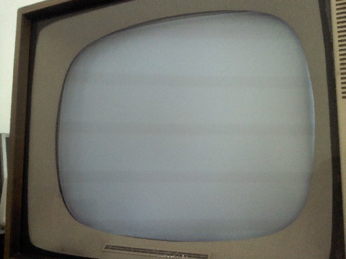 IMG2261.jpg
