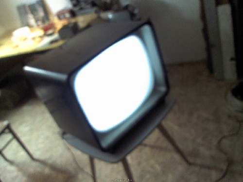 IMG647.jpg