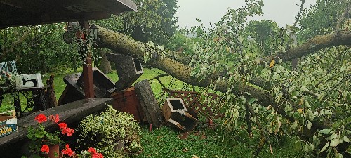 IMG_20230719_153253.jpg