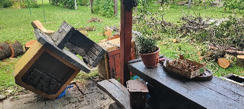 IMG_20230720_162106.jpg