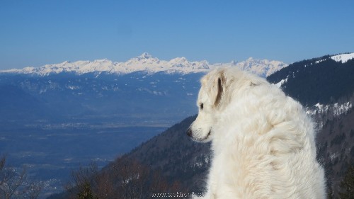 IMG_2903a.jpg