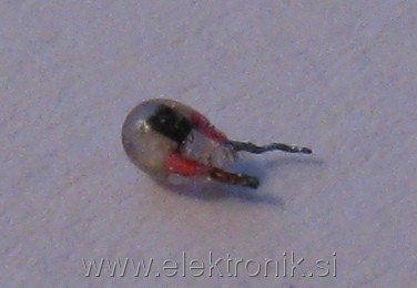IMG_3622.JPG