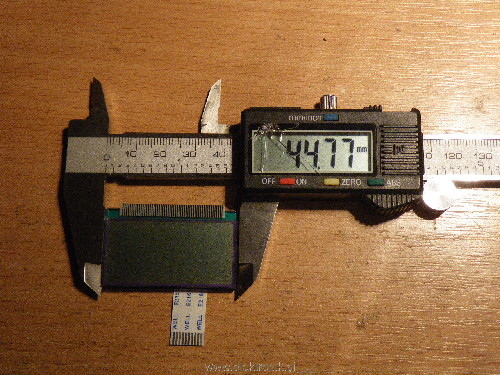 IMGP0242.JPG