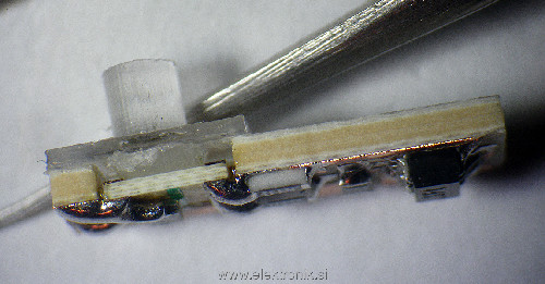 IMGP7838.JPG