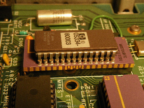 IMGP7847.JPG