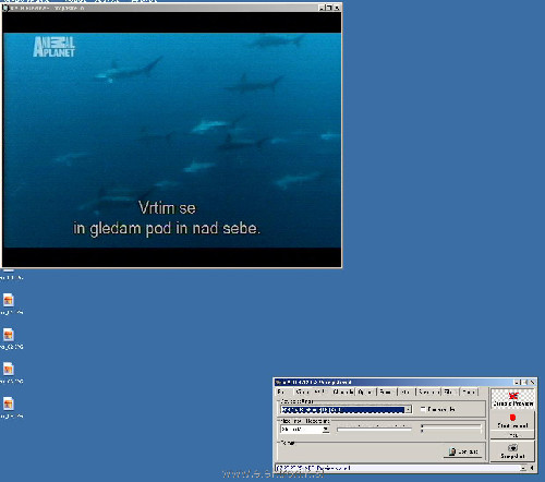 iuvcr_05.JPG