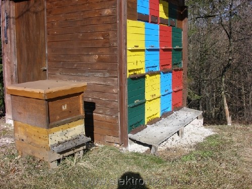 Izlet_Cebel_5_Feb_2011_1.JPG