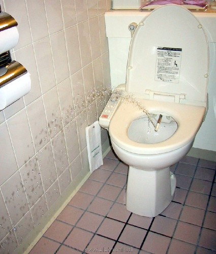 JapaneseToiletBidet.jpg