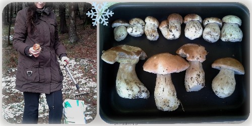jurki 12112016.jpg