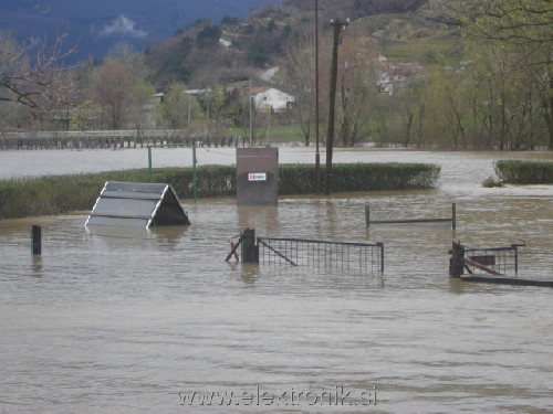 kinološko.jpg