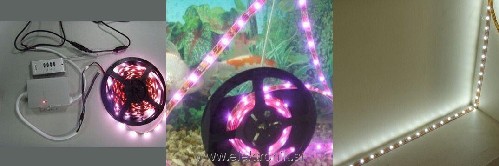 led_strips.jpg