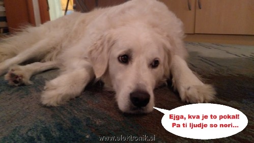 Leyla1.jpg