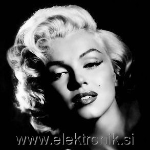 marylin monroe.jpg