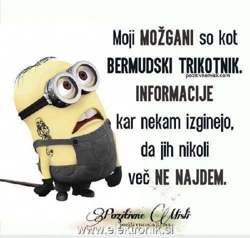 možgani kot mermudski trikotnik.jpg