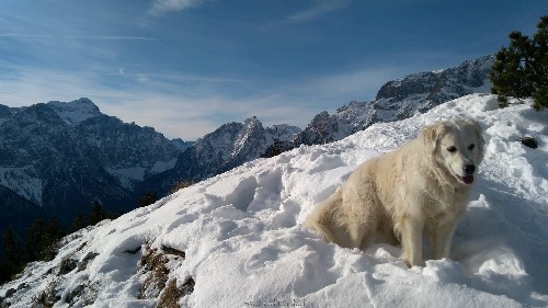 Nad dolino Vrata.jpg