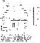 nok-cable.gif