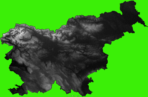 nvsl-large[1].gif