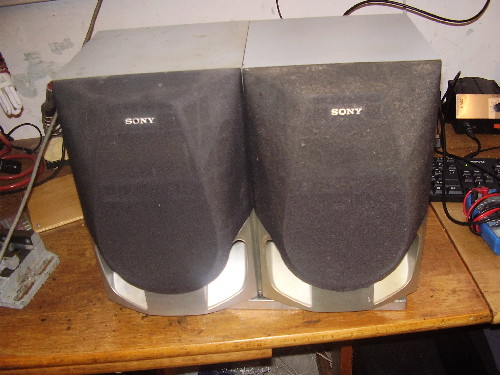 P1010003.JPG