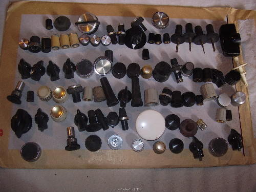 P1010005.JPG