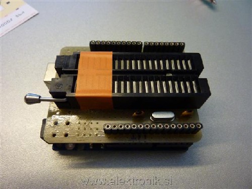 P1010984 (Small).JPG
