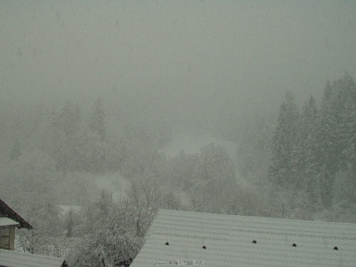 P1270053.JPG