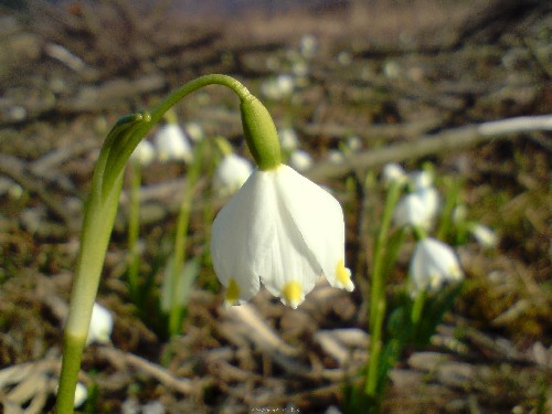 P140309_15.36.JPG
