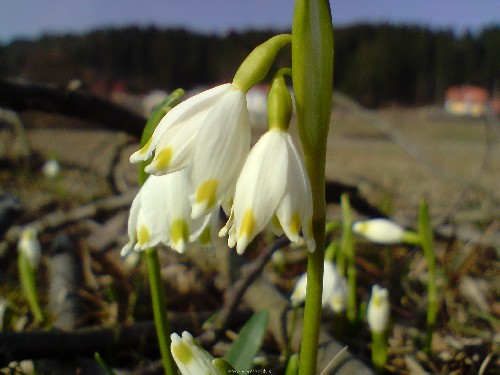 P140309_15.37[02].JPG