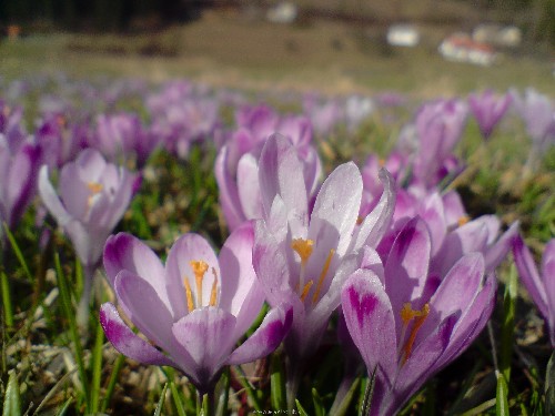 P140309_15.45.JPG